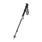 عصای کوهنوردی